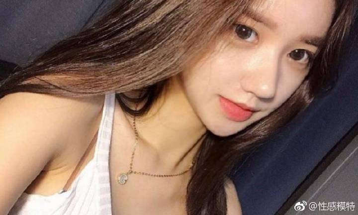 北京市第十五届精品盆景展开幕 “景山消夏夜”将开启